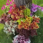 Giardino Di Lei Apartment *