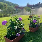 Giardino Di Lei *