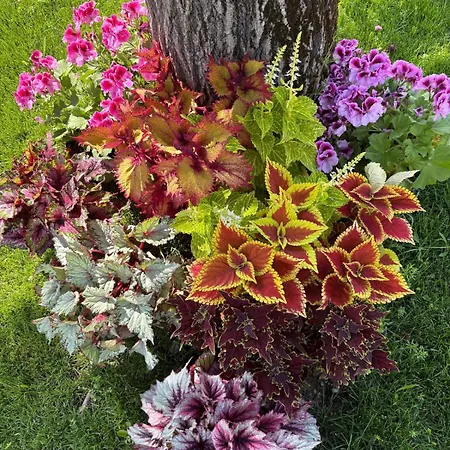 Giardino Di Lei شقة *
