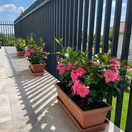 Giardino Di Lei *