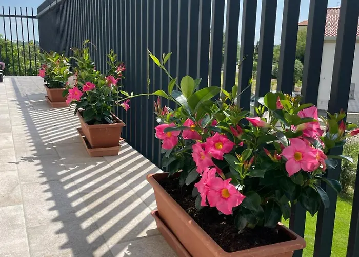 Giardino Di Lei *