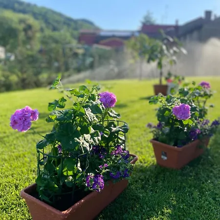 Giardino Di Lei *