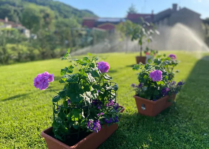 Giardino Di Lei *